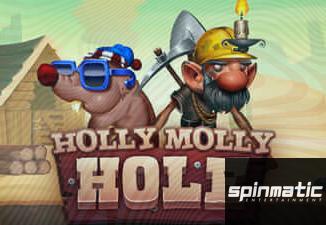 Holly Molly Hole